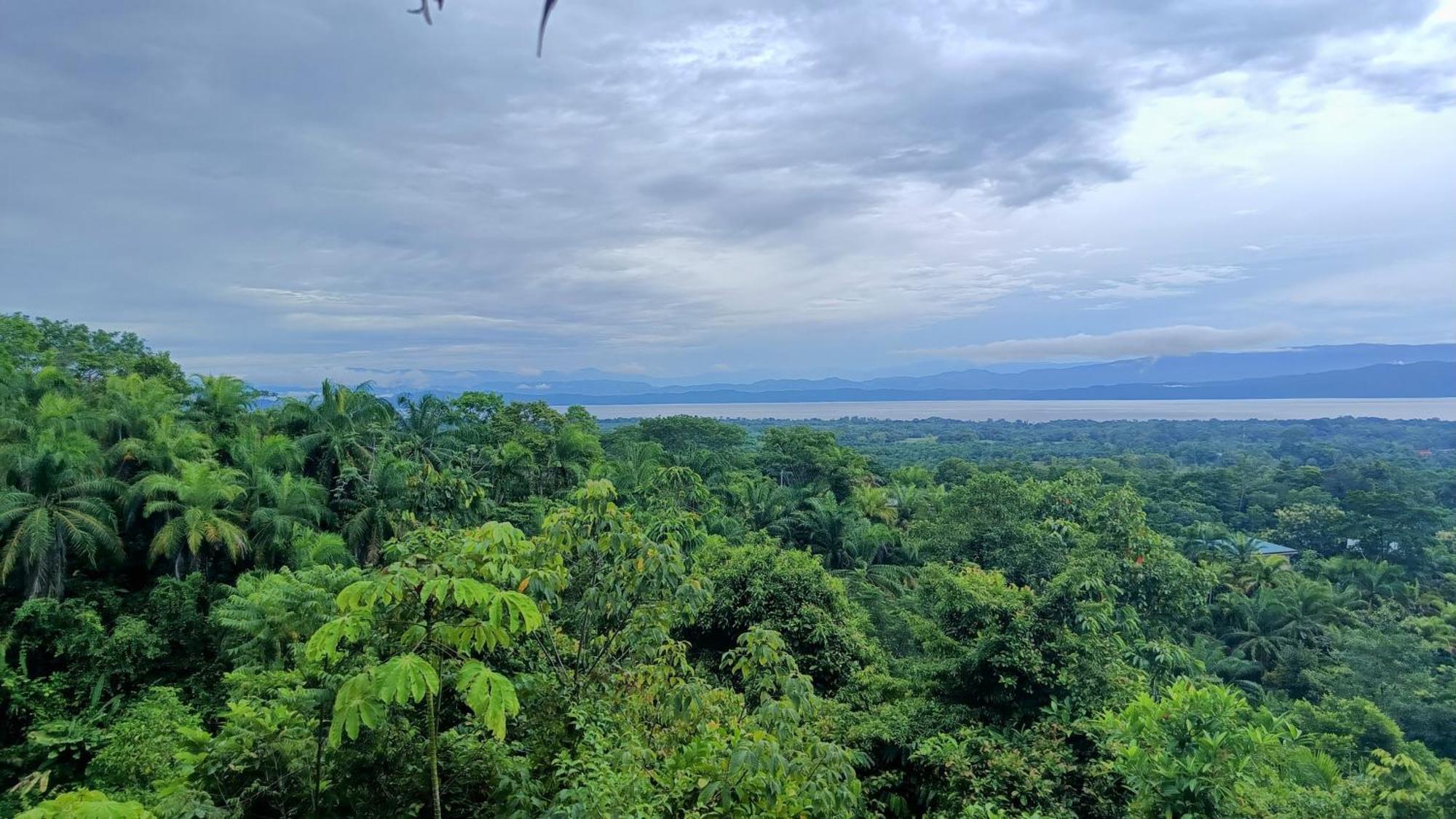 Puerto Jiménez Corcovado Private Villas - Corcovado Private Reserve المظهر الخارجي الصورة