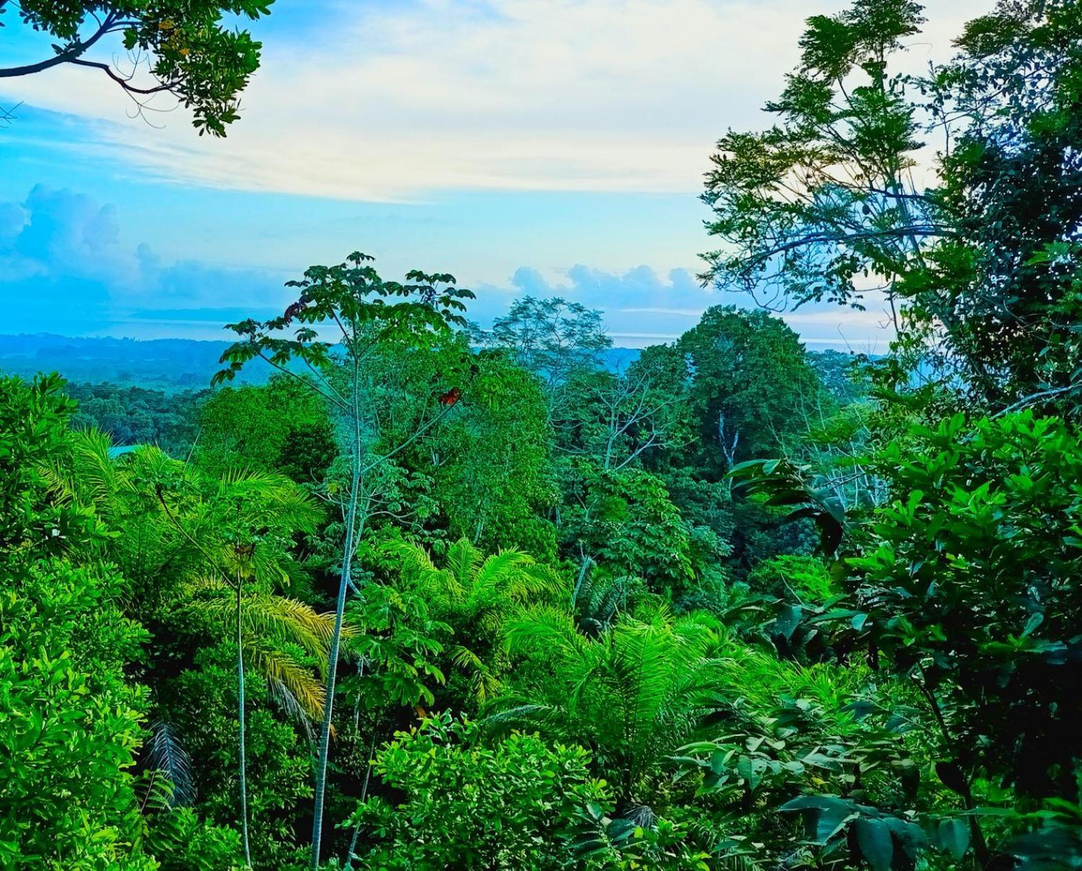 Puerto Jiménez Corcovado Private Villas - Corcovado Private Reserve المظهر الخارجي الصورة