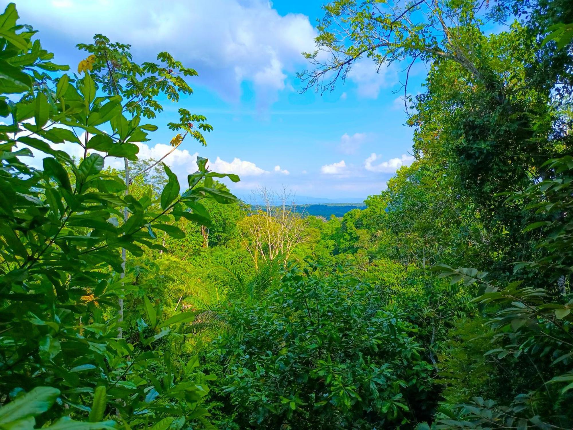 Puerto Jiménez Corcovado Private Villas - Corcovado Private Reserve المظهر الخارجي الصورة