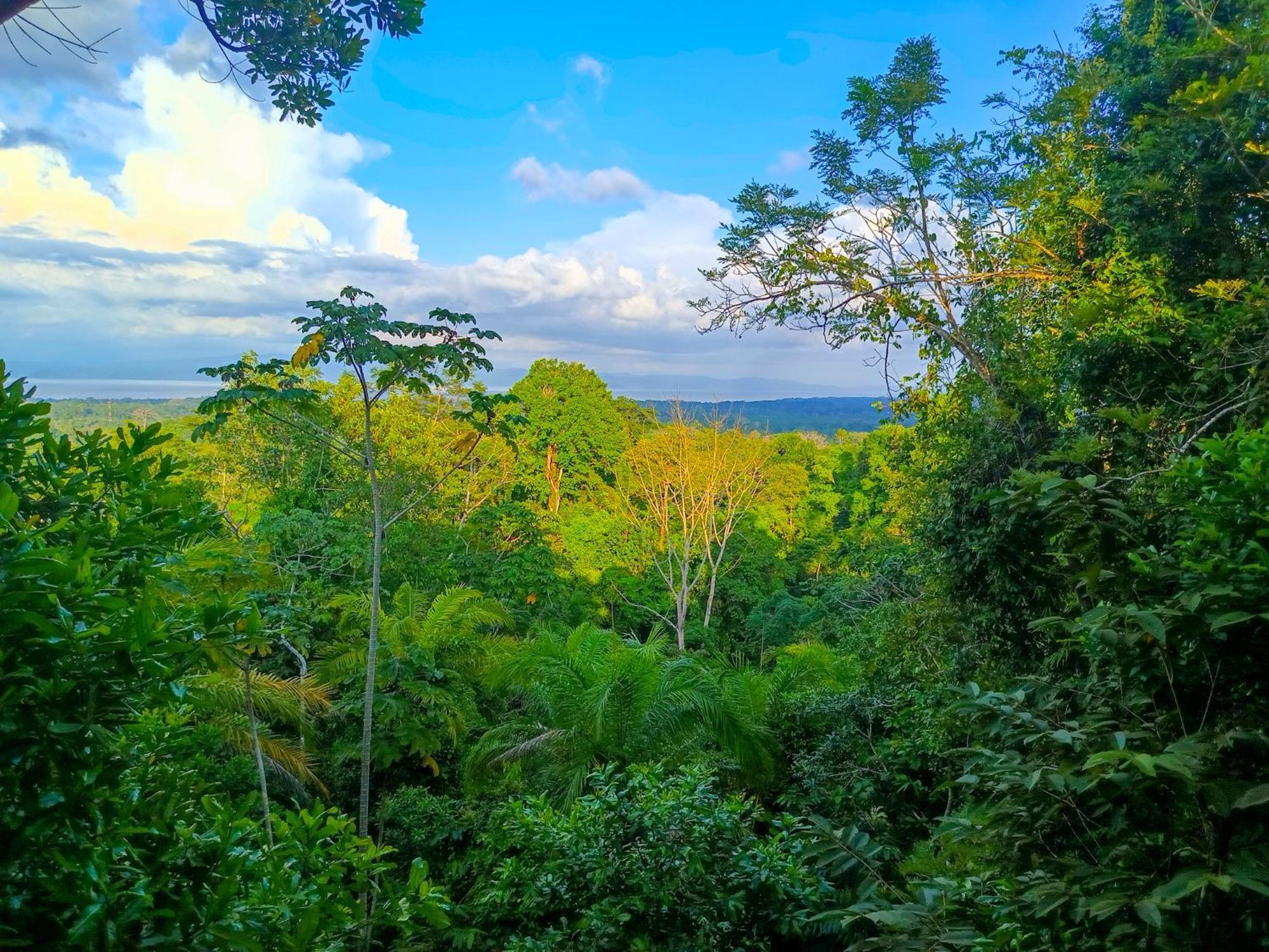 Puerto Jiménez Corcovado Private Villas - Corcovado Private Reserve المظهر الخارجي الصورة