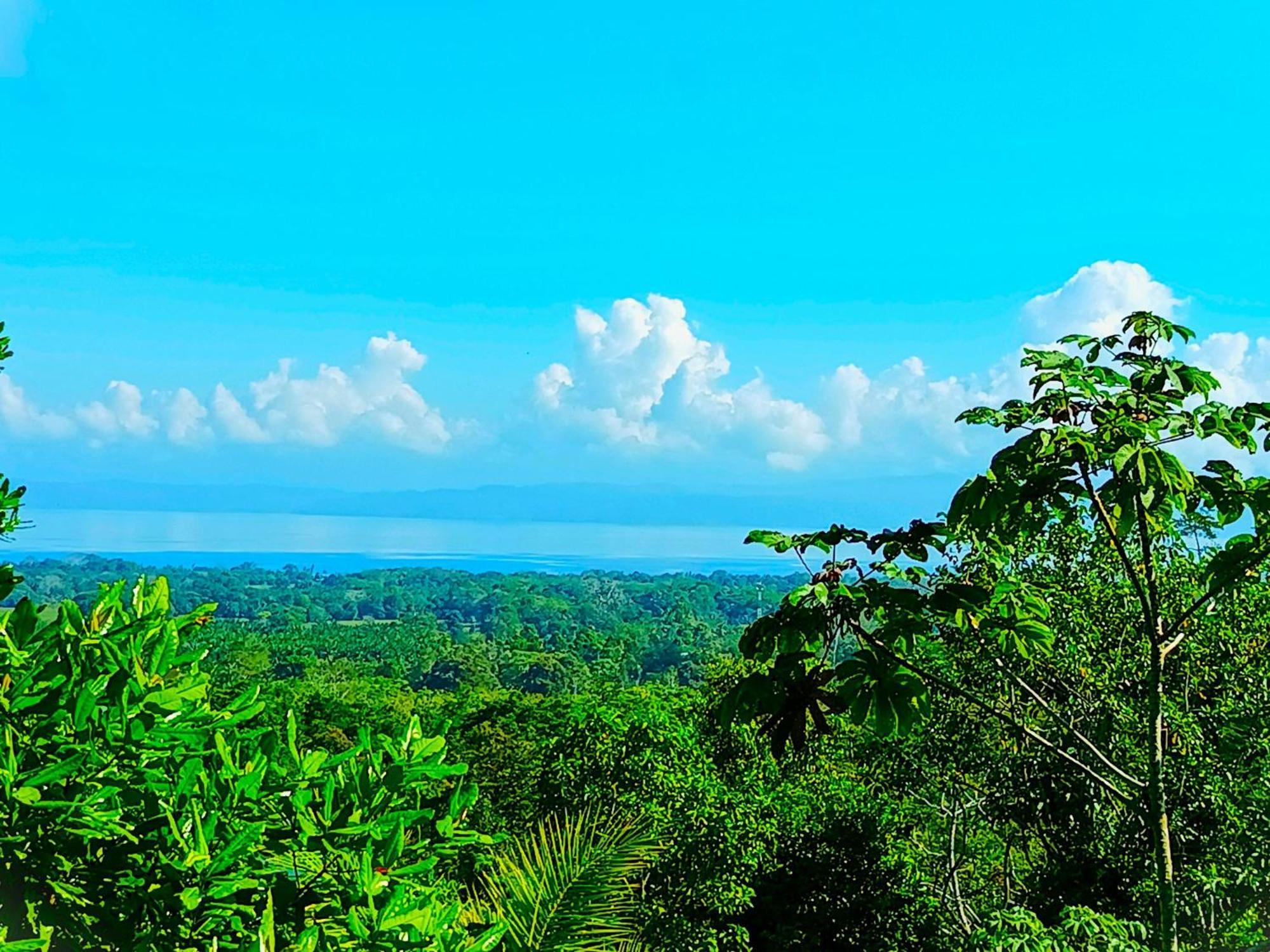 Puerto Jiménez Corcovado Private Villas - Corcovado Private Reserve المظهر الخارجي الصورة