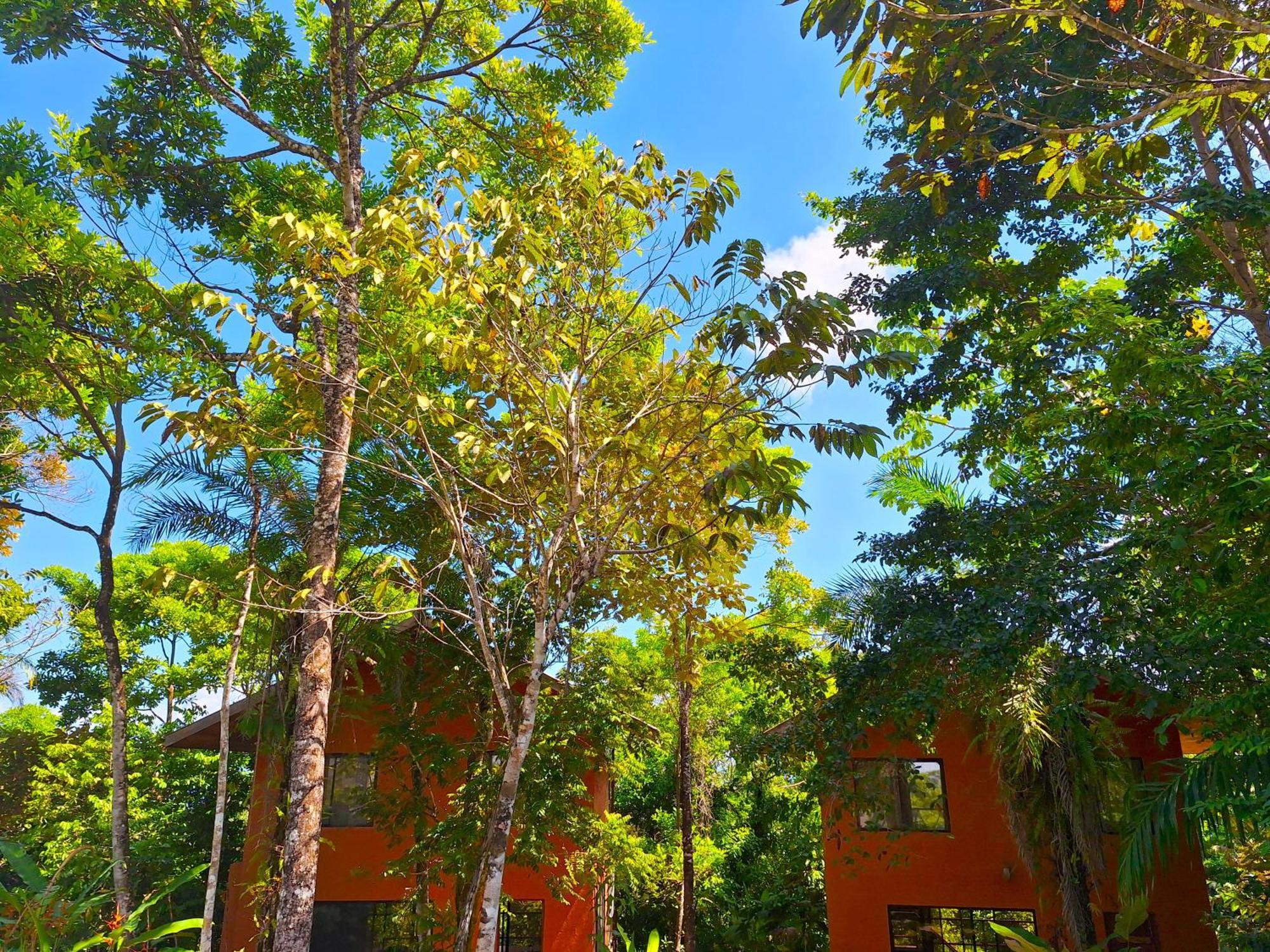Puerto Jiménez Corcovado Private Villas - Corcovado Private Reserve المظهر الخارجي الصورة