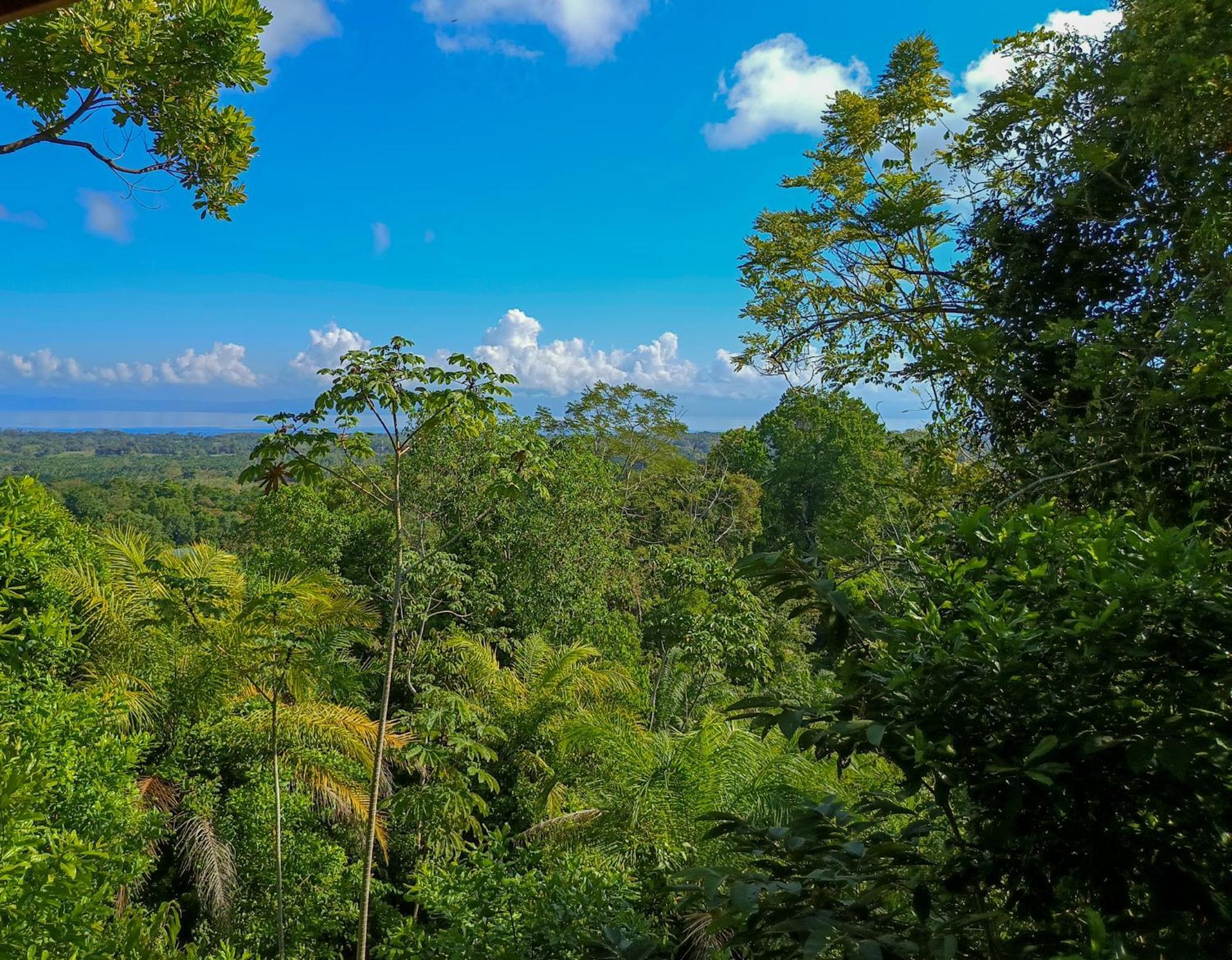 Puerto Jiménez Corcovado Private Villas - Corcovado Private Reserve المظهر الخارجي الصورة