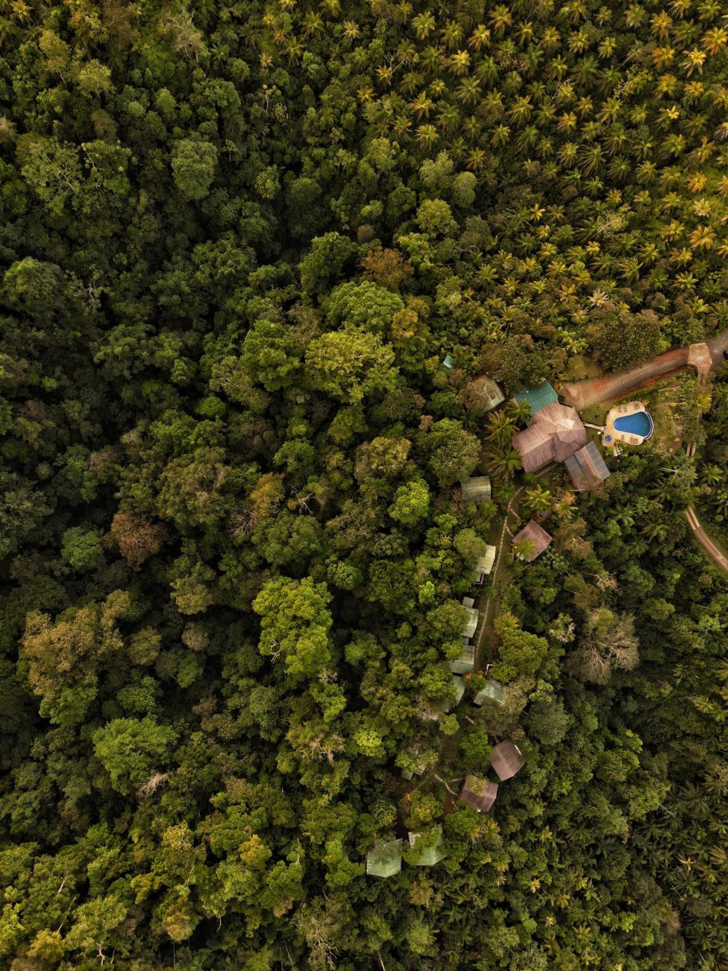 Puerto Jiménez Corcovado Private Villas - Corcovado Private Reserve المظهر الخارجي الصورة