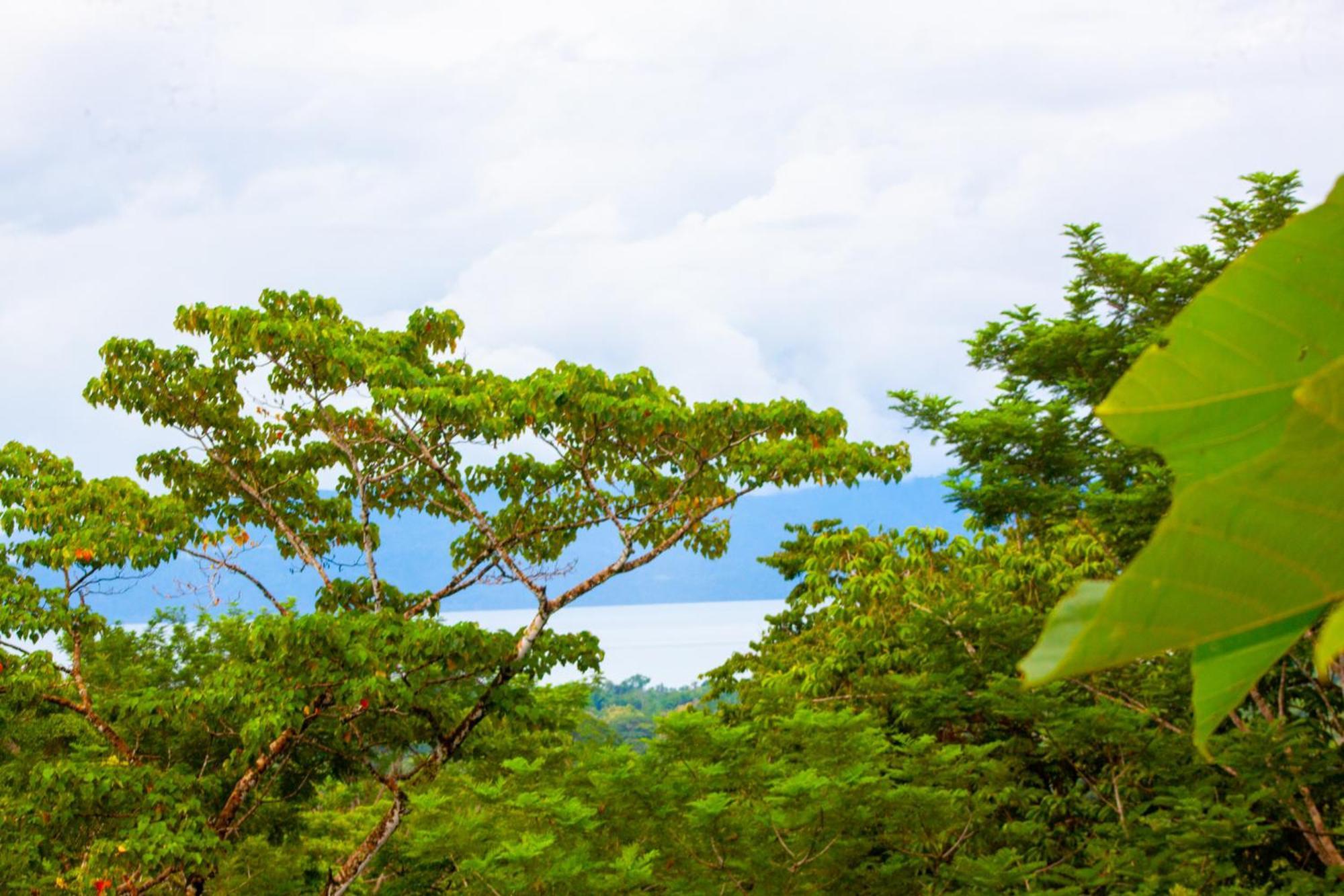 Puerto Jiménez Corcovado Private Villas - Corcovado Private Reserve المظهر الخارجي الصورة